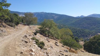 Tepeleri aşan yol, dağlardaki yeşil orman.