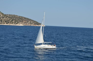 Ada sahil doğası tatilde, gemi denizde.