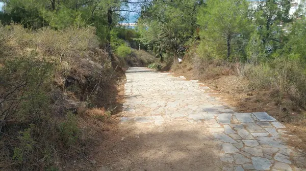 Caminho Pedra Através Uma Bela Floresta Dia Ensolarado Estrada Parque — Fotografia de Stock