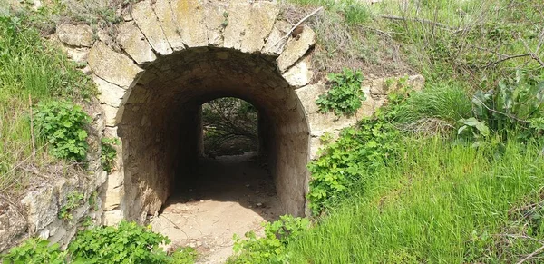Verde Túnel Hierba Fortaleza Piedra Verano —  Fotos de Stock
