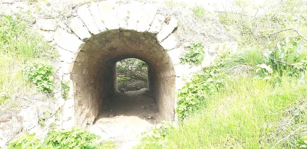 Grüne Gras Tunnel Stein Festung Sommer — Stockfoto