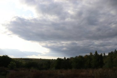 Mavi gökyüzü, güzel kış bulutları, ormanın üzerindeki bulutlu gökyüzü.