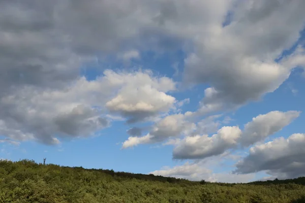 Ciel Bleu Beaux Nuages Hiver Ciel Nuageux Dessus Forêt — Photo