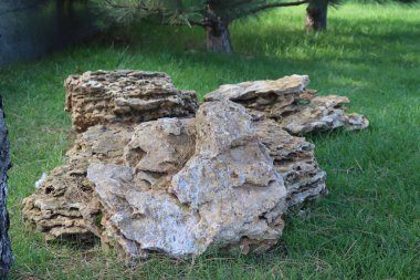 Yeşil çimlerin üzerinde büyük bir taş