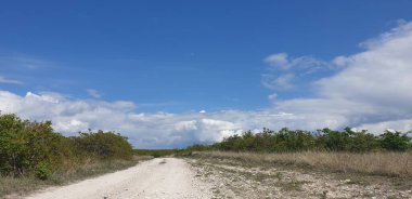 Bulutlara giden yol, ışık, yol kenarındaki yeşil çimenler, gökteki ay.