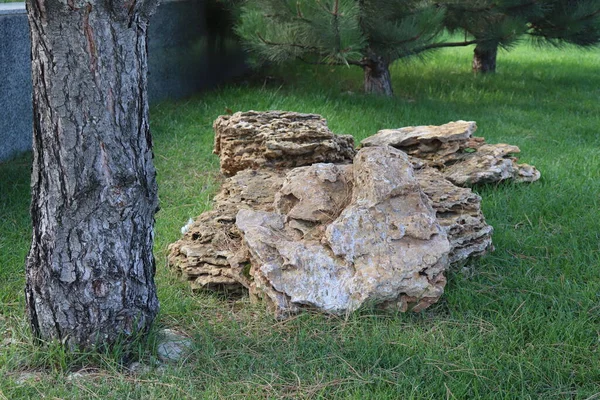 Большой Камень Зеленой Траве — стоковое фото