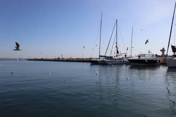 stock image boats at the pier, seagulls over the sea