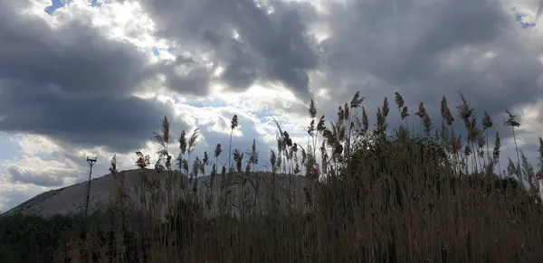 Sanddyner Kalksten Vita Sanddyner Mot Den Molniga Himlen — Stockfoto