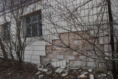 Eski duvar, fayanslar kısmen çökmüş, kuru yapraklar.