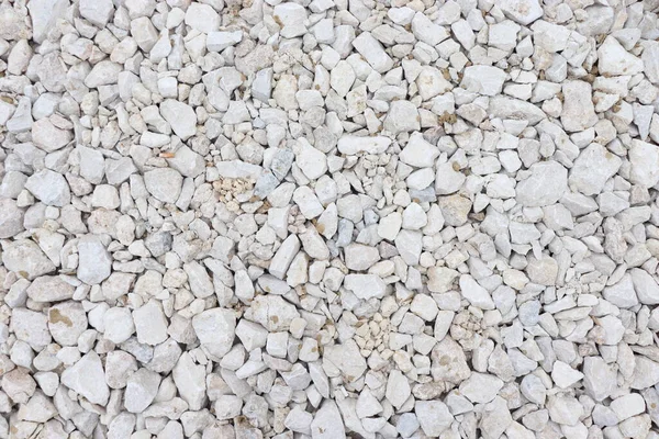 white stones on the beach on a sunny day, background of white stones