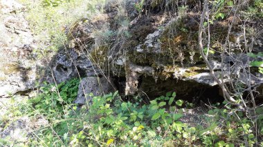 Orman yolları, nehir boyunca vadi yürüyüşleri.