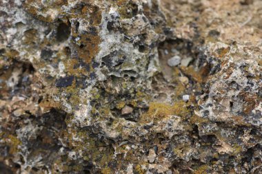 Sarı çizgili taş desen