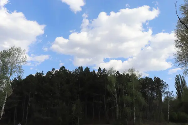 Céu Azul Bonito Com Nuvens Brancas Fofas Dia Ensolarado Sobre — Fotografia de Stock