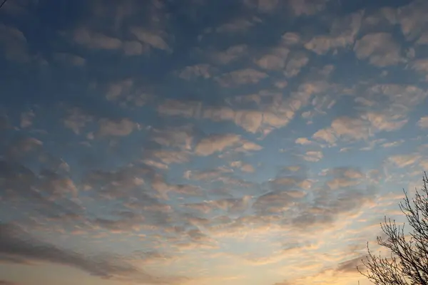 Nuvens Brancas Cinzentas Brilhantes Bonitas Céu Azul Rosa Sunrise Céu — Fotografia de Stock