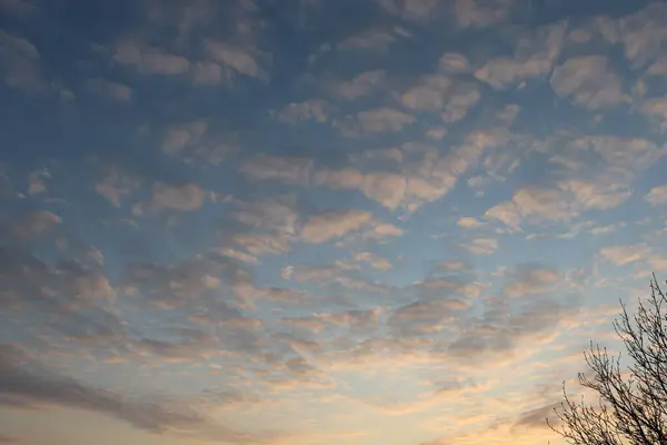 Mooie Heldere Witte Grijze Wolken Een Blauwe Hemel Roze Zonsopgang — Stockfoto