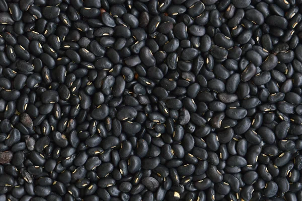 Closeup Blackbean Fundo Textura — Fotografia de Stock