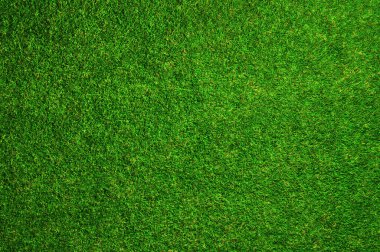 Çimen dokusu arkaplanı kapat