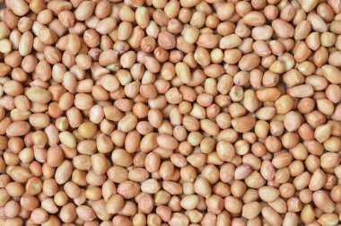 Yakın plan yer fıstığı arkaplan dokusu