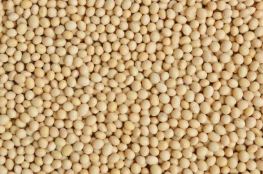 Kapalı soya tohumları arkaplan dokusu