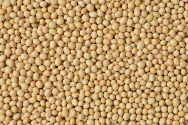 Kapalı soya tohumları arkaplan dokusu
