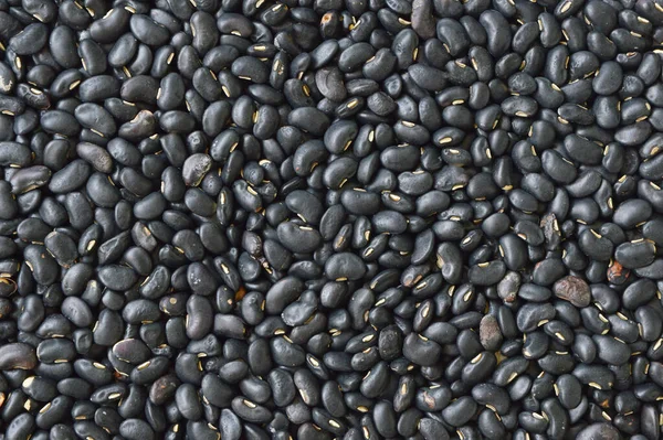 Closeup Blackbean Fundo Textura — Fotografia de Stock