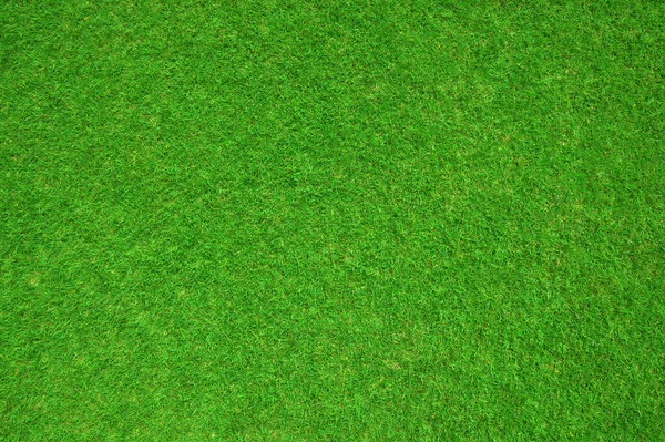 Groen Gras Textuur Gebruiken Voor Achtergrond — Stockfoto