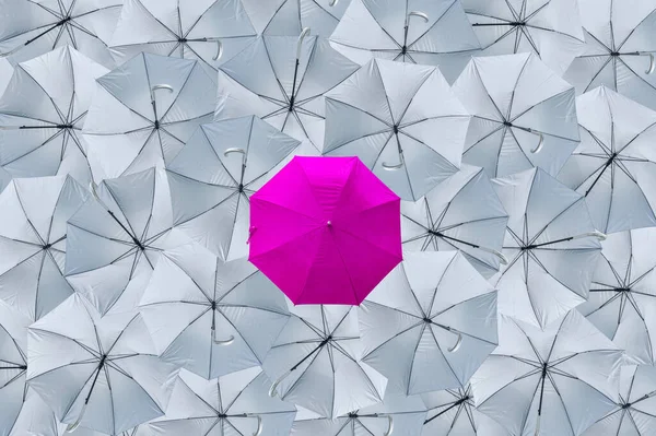 Обычный Розовый Зонтик Отличается Опрокидывающихся Серых Зонтов Будучи Различными Концепциями — стоковое фото