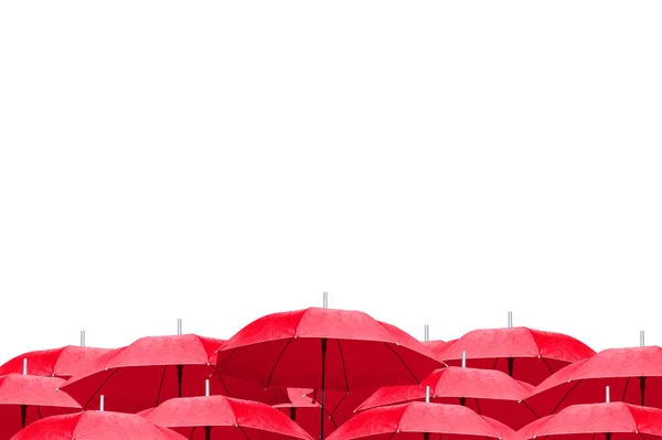 Les Parapluies Rouges Sur Fond Blanc Vue Latérale — Photo