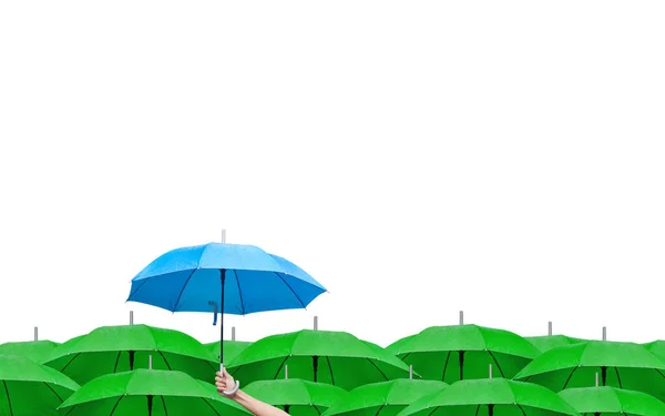 Różnica Zwiększenia Przywództwa Biznesie Niebieski Parasol Wśród Zielonych Parasoli Ręka — Zdjęcie stockowe