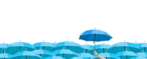 Különbség Hogy Álljon Vezető Üzletben Kék Esernyő Között Égi Esernyők — Stock Fotó