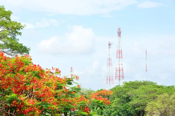 Telecommunication Tower and Telephone Transmitter and trees and red flowers with blue sky