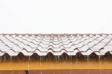 Çatıya Yağmur yağar