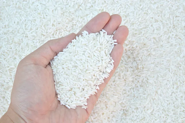 Κοντινό Ρύζι — Φωτογραφία Αρχείου