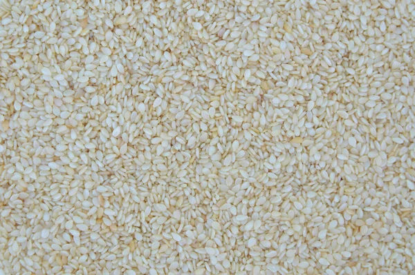 Семена Белого Кунжута — стоковое фото
