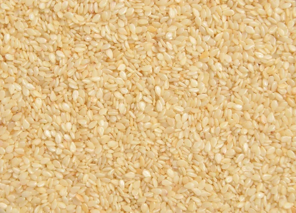 Close up of  sesame seeds background. sesame texture