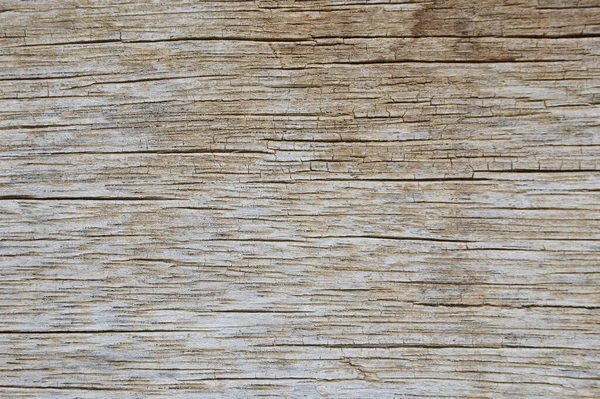 木制面板 背景木质部的特写 — 图库照片
