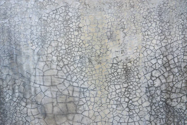 裂缝混凝土墙体纹理背景 蜘蛛花纹裂缝 — 图库照片