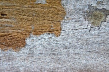 Ahşap zemin. Gri ve sarı ahşap doku.