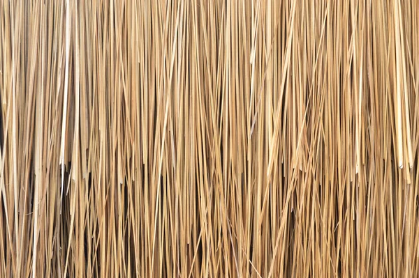 Blady Tło Tekstury Trawy Imperata Cylindryczny Tło Tekstury — Zdjęcie stockowe
