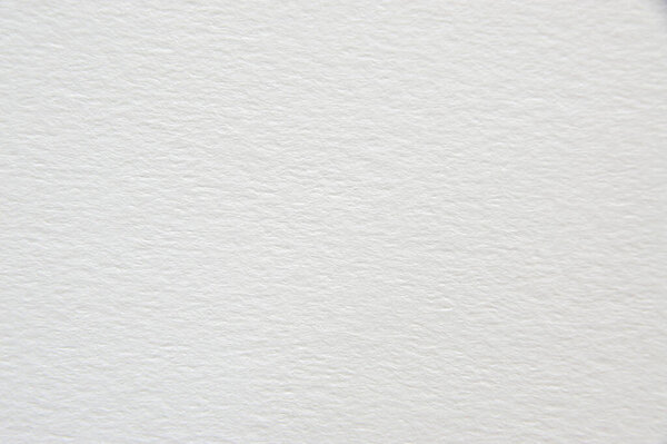 White watercolor paper texture for background.