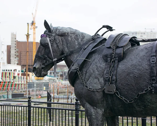 Pferdedenkmal England — Stockfoto