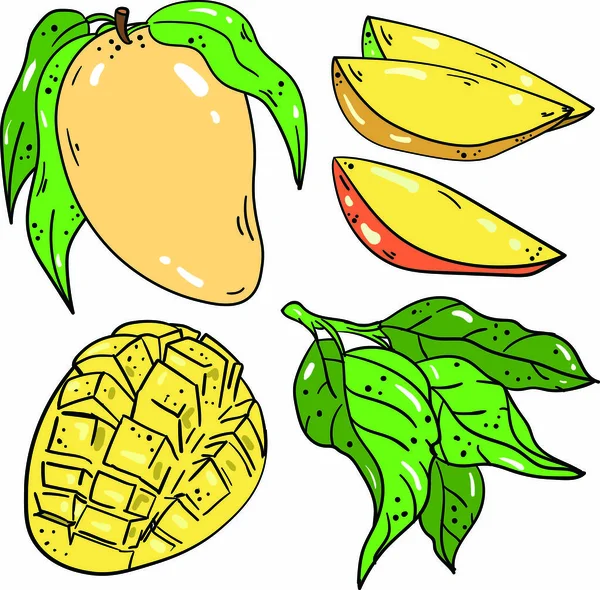 Mango Line Drawing Images – Browse 5,667 Stock Photos, Vectors, and Video |  Adobe Stock