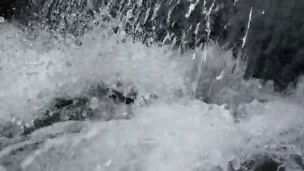 低速活动Hd Video林地河流瀑布上的小瀑布 溪水在峡谷中奔流而下 水喷出水滴 产生泡沫 — 图库视频影像