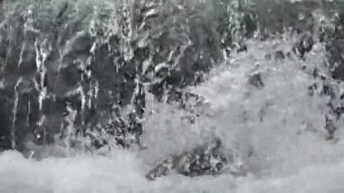 SLOW MOTION HD VIDEO 'daki Woodland' da nehir çağlayanı üzerinde küçük bir şelale. Vadide akan parlak su akıntısı. Su damlaları köpük yapar. Yakın plan. Yarı hız.