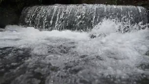 Kleine Waterval Rivierwaterval Bos Slow Motion Video Sprankelende Stroom Van — Stockvideo