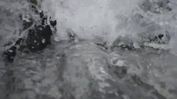 Небольшой Водопад Речном Каскаде Лесу Slow Motion Video Искрящийся Поток — стоковое видео