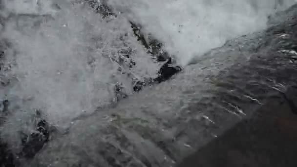 Kleiner Wasserfall Auf Flusskaskade Wald Slow Motion Video Funkelnder Strom — Stockvideo