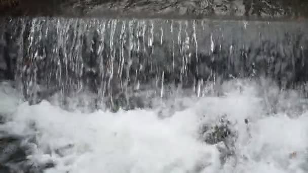 Petite cascade sur la cascade de la rivière dans les bois en MOTION SLOW HD VIDEO. Flux scintillant d'eau qui tombe dans le ravin. L'eau pulvérise gouttes et crée de la mousse. Gros plan. Demi vitesse .