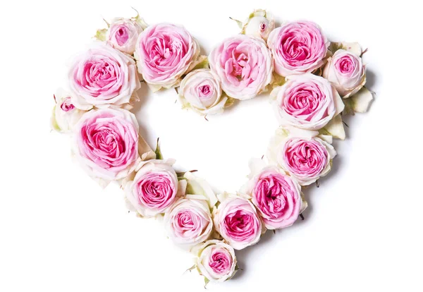 Símbolo Coração Feito Flores Frescas Rosa Brancas Isoladas Fundo Branco — Fotografia de Stock