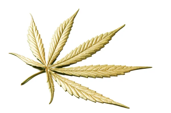 Gouden Blad Van Volgroeide Hennep Cannabis Geïsoleerd Witte Achtergrond Met — Stockfoto